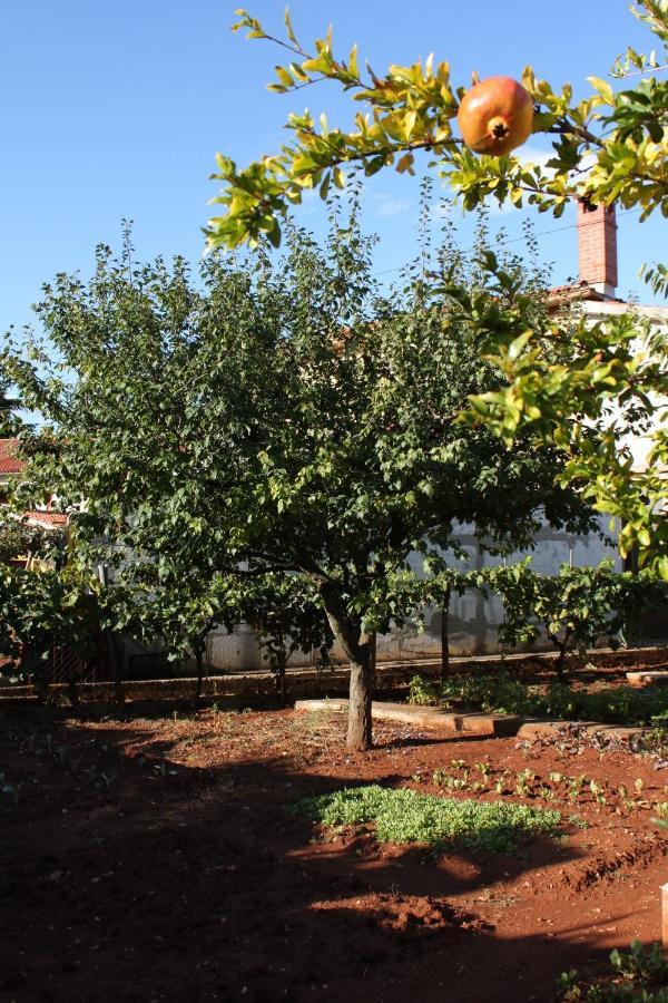 Apartments With A Parking Space Umag - 7057 Екстериор снимка